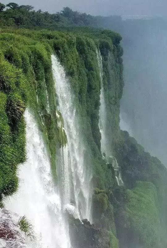怎么快速背《伤仲永》