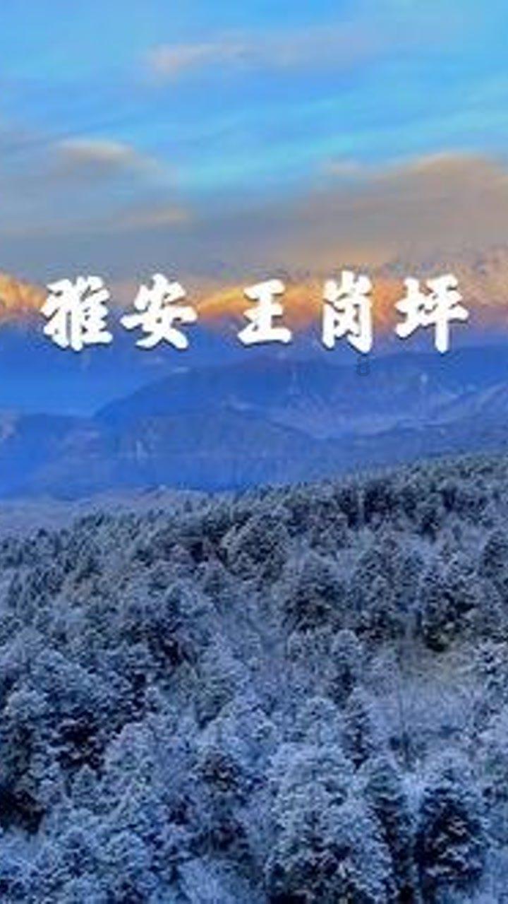九联科技(688609.SH):预计2023年净亏损1.8亿元到2亿元