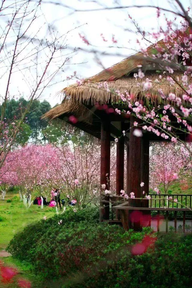 专业问答平台