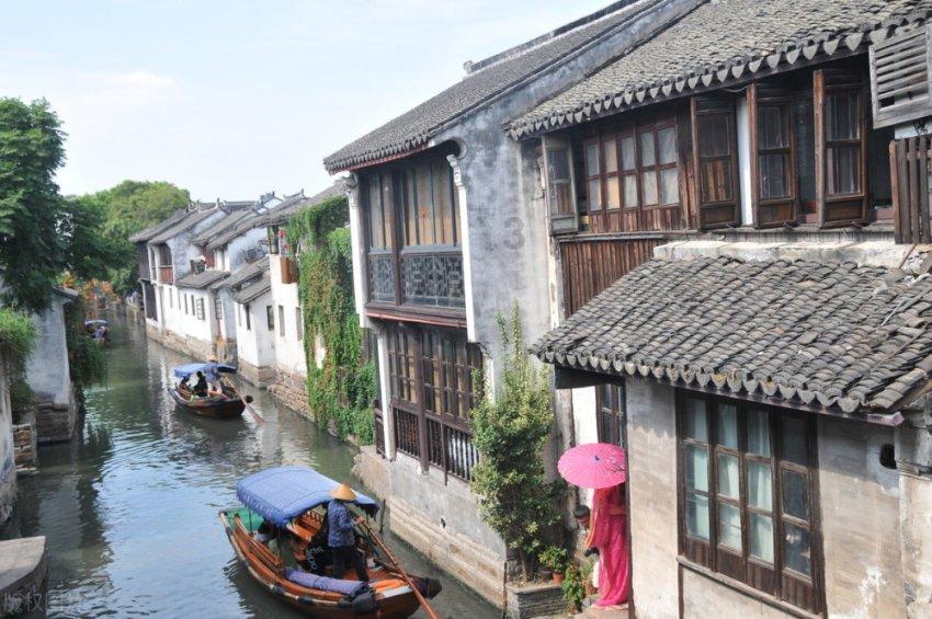动物帮帮忙保卫家园