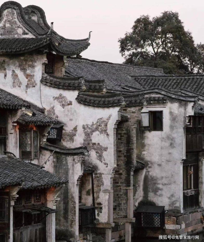 九里香开花后不长枝条？怎么处理？游戏画面