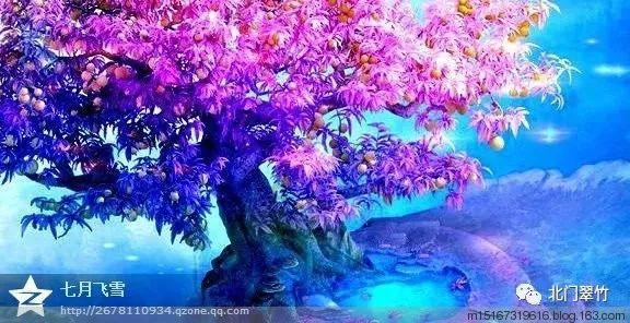 19日短剧消耗与投流日榜:《绝世高人》排名第一